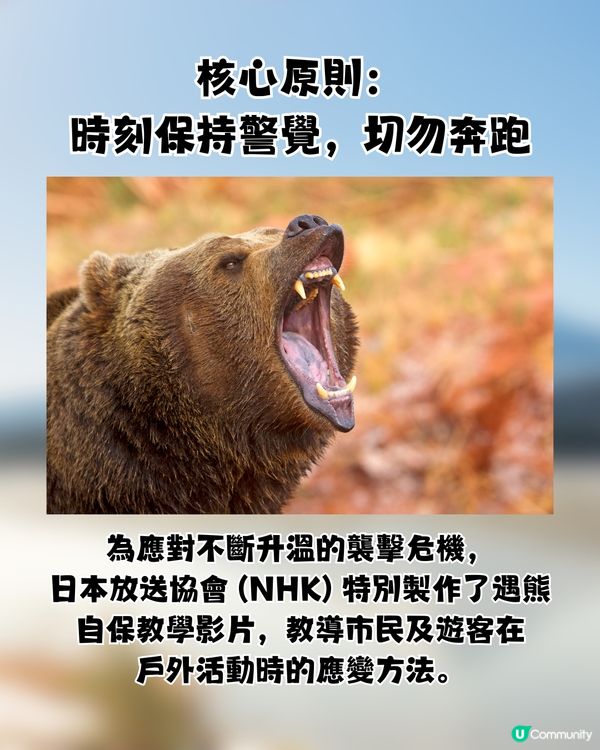 🚨 日本熊害危機爆發：死亡人數創新高！即睇3大自保攻略🐻教你即時追查熊蹤／空膠樽驅熊