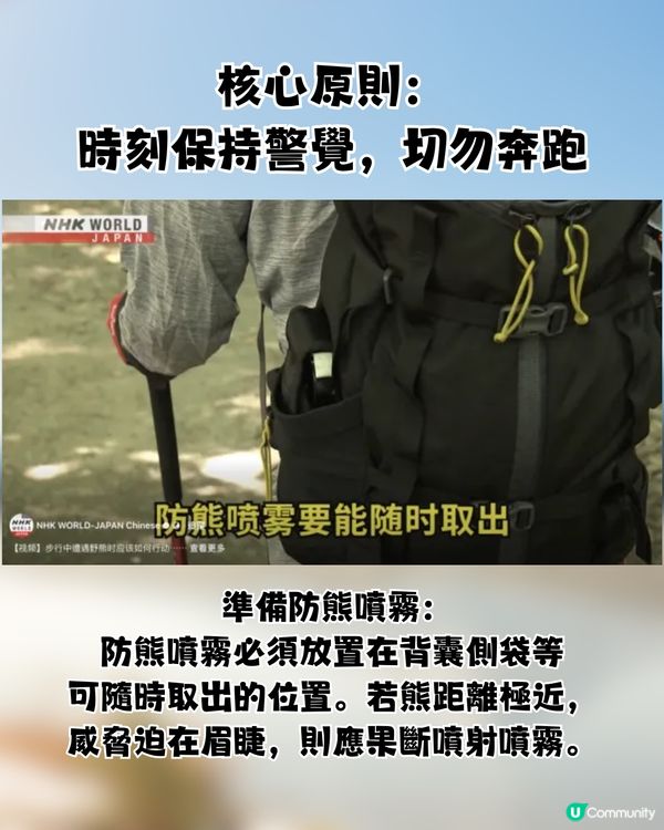 🚨 日本熊害危機爆發：死亡人數創新高！即睇3大自保攻略🐻教你即時追查熊蹤／空膠樽驅熊