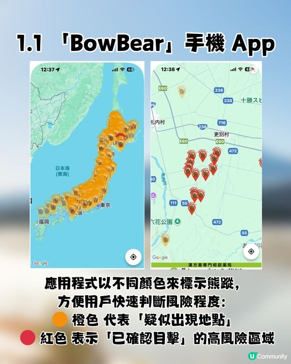 🚨 日本熊害危機爆發：死亡人數創新高！即睇3大自保攻略🐻教你即時追查熊蹤／空膠樽驅熊