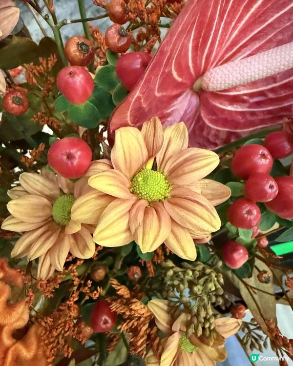 💐Say Hi to November 💐