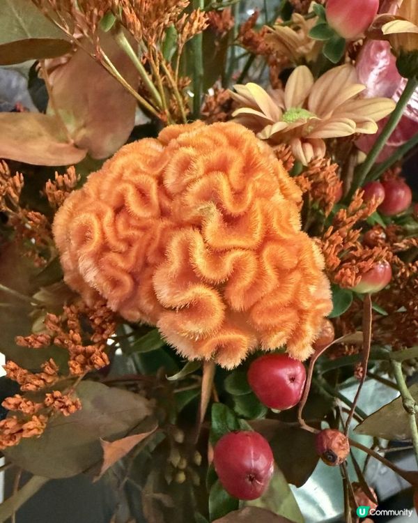 💐Say Hi to November 💐