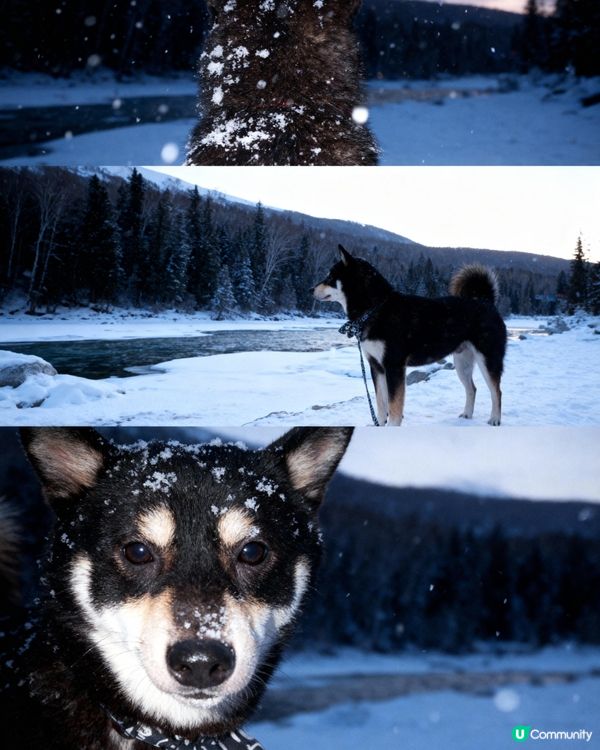 📎🩵🤍🩵🤍🩵🤍🩵🤍