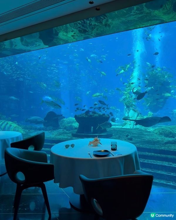 海底餐廳打卡！三亞亞特蘭蒂斯🌊✨
