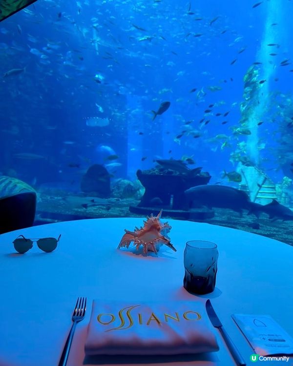 海底餐廳打卡！三亞亞特蘭蒂斯🌊✨