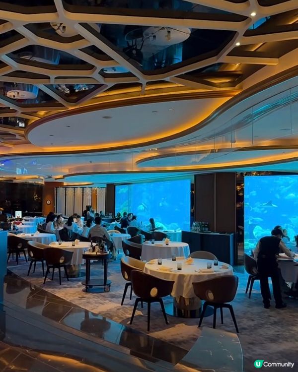 海底餐廳打卡！三亞亞特蘭蒂斯🌊✨