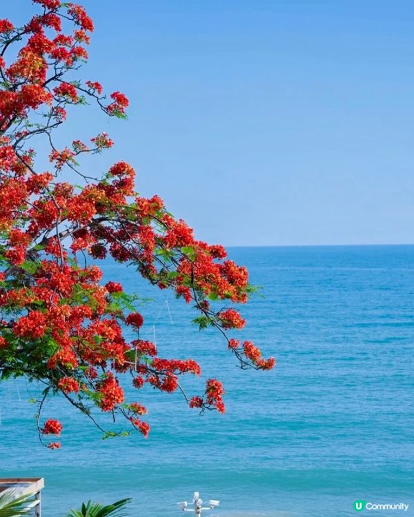 三亞「聖托里尼」🌊！天涯小鎮打卡📸！