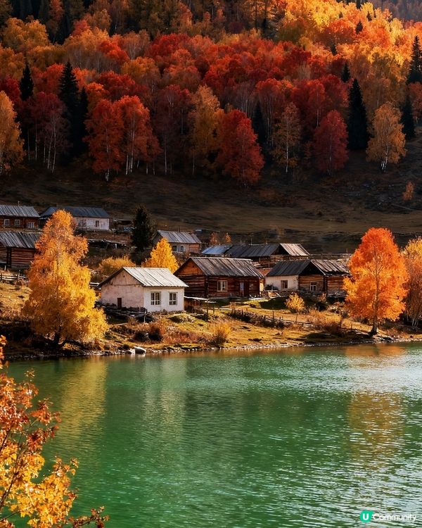 秋天嘅阿勒泰🍂，靚到窒息！😍