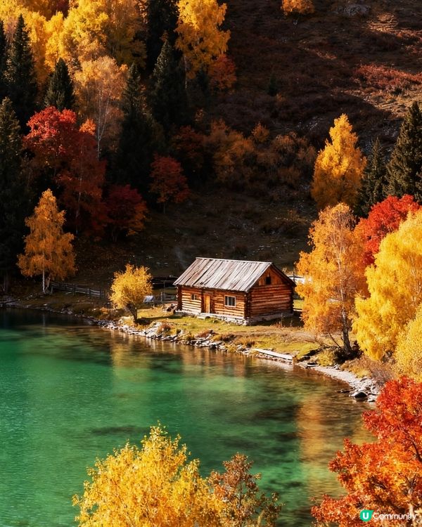 秋天嘅阿勒泰🍂，靚到窒息！😍