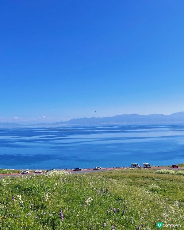 賽里木湖靚到爆！🤩 天鵝湖水超清透！