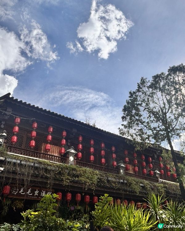 雲南/超治癒雲南打卡！大理古城一日漫遊攻略｜歷史X自然X人文