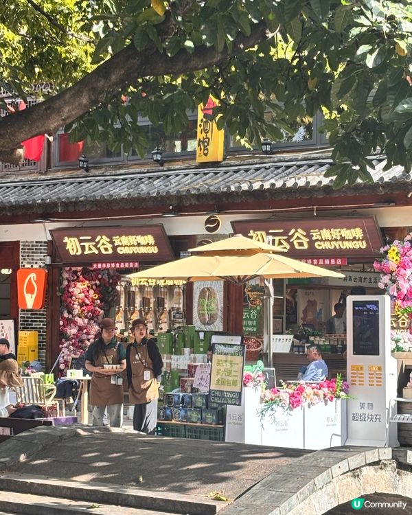 雲南/超治癒雲南打卡！大理古城一日漫遊攻略｜歷史X自然X人文