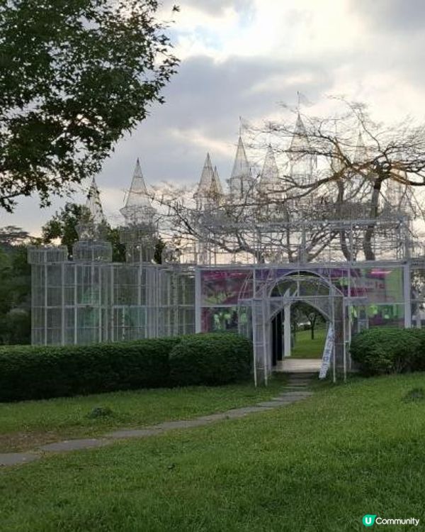 嘉義民雄【旺萊山愛情大草原】💖