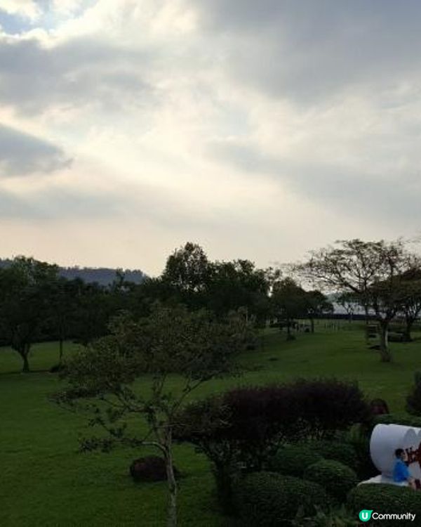 嘉義民雄【旺萊山愛情大草原】💖