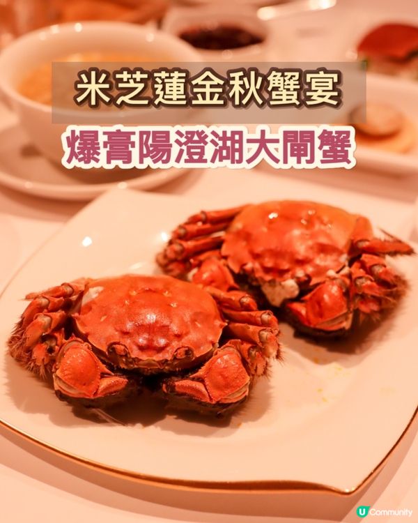 米芝蓮金秋蟹宴！爆膏陽澄湖大閘蟹🦀