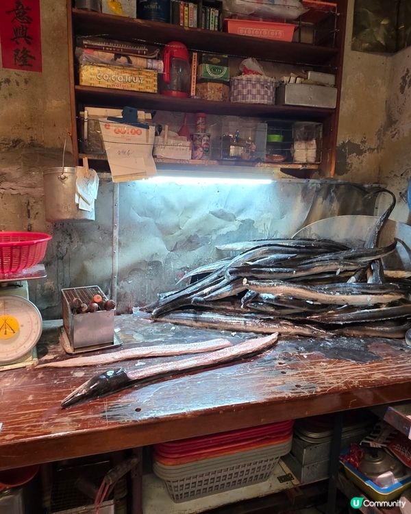 親子好去處🤩免費✨️九龍城寨光影之旅✨️電影場景展