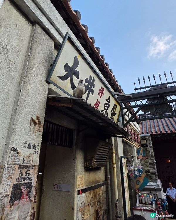 親子好去處🤩免費✨️九龍城寨光影之旅✨️電影場景展