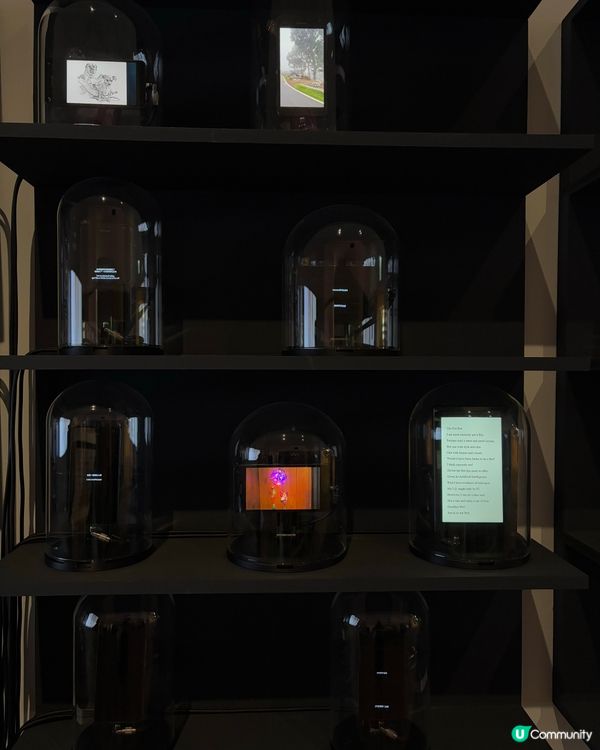 【大館藝術遊記】雲上在線超正！🤖 睇完反思科技！