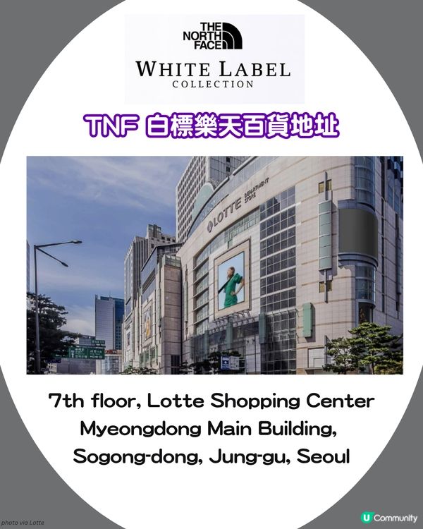 The North Face日韓限定支線 紫標 vs 白標！🏔️10大必買清單+門市地址 🇯🇵🇰🇷