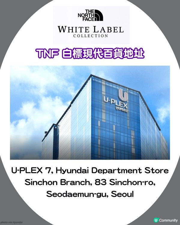 The North Face日韓限定支線 紫標 vs 白標！🏔️10大必買清單+門市地址 🇯🇵🇰🇷