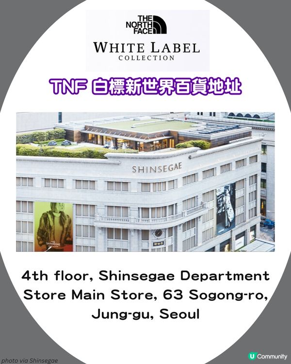 The North Face日韓限定支線 紫標 vs 白標！🏔️10大必買清單+門市地址 🇯🇵🇰🇷