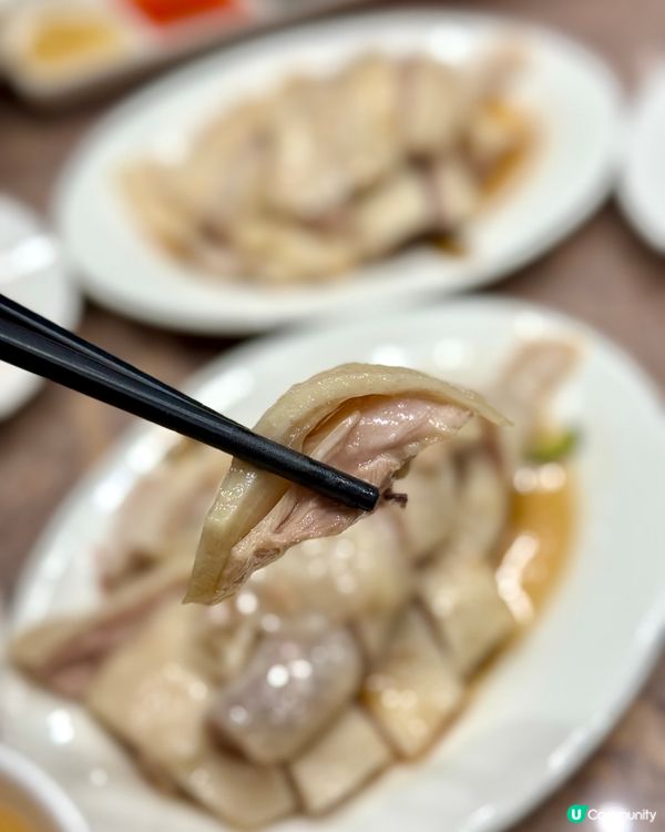 銅鑼灣美味海南雞飯 來自新加坡的米芝蓮推介