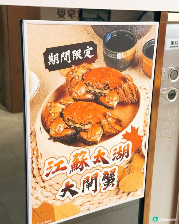 牛大人🔥期間限定！