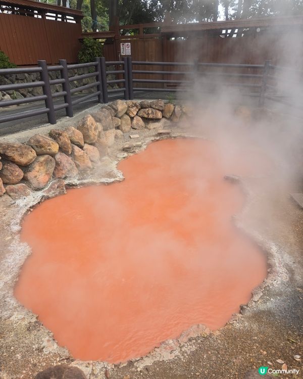 #日本好去處 #UCreator #日本櫻花 #旅行打卡 #...