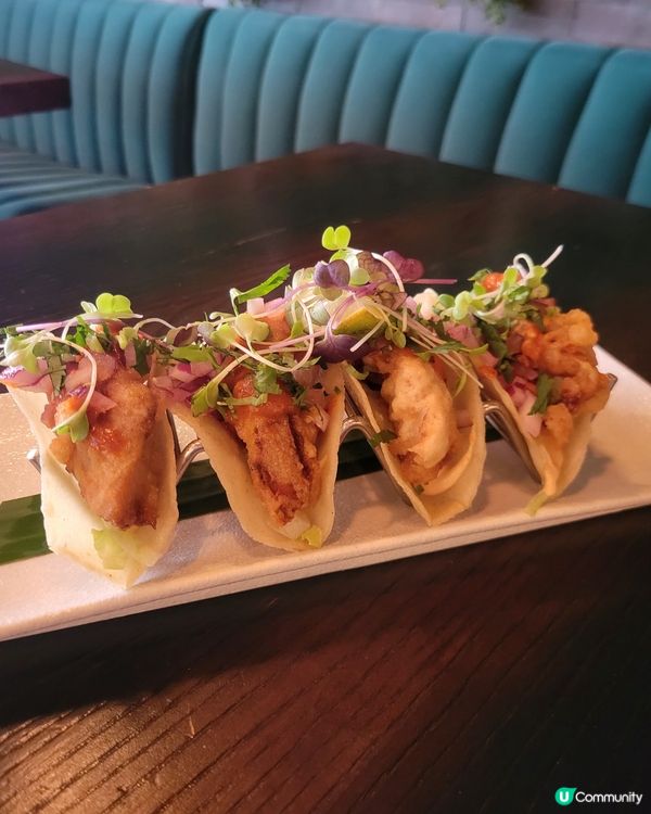 墨西哥美食推介！😋 尖咀必食！🌮