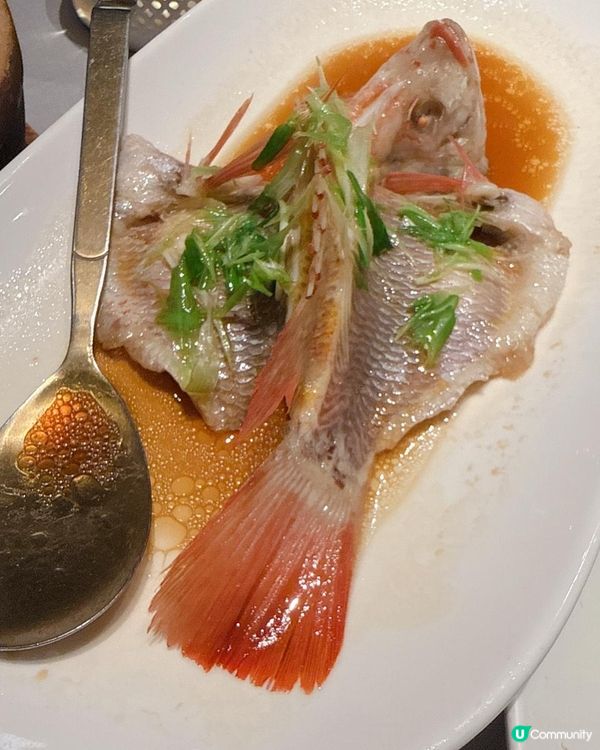 必試人均¥99 食九道海鮮餐| 招牌人氣海魚焗飯超正