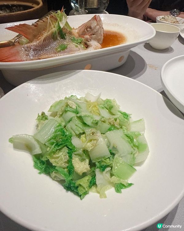 必試人均¥99 食九道海鮮餐| 招牌人氣海魚焗飯超正