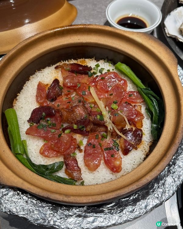 深圳順德公豬肚雞🍲! 秋冬暖胃滋補🤤!