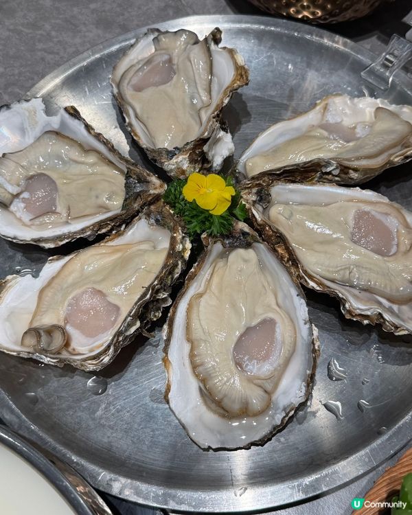 深圳順德公豬肚雞🍲! 秋冬暖胃滋補🤤!