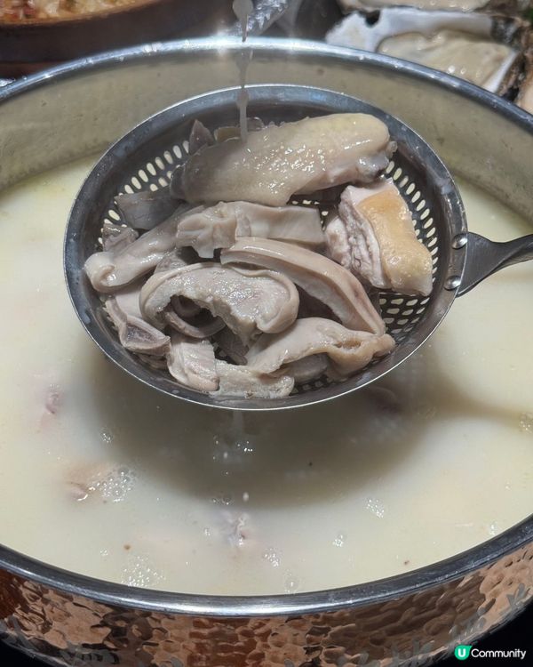 深圳順德公豬肚雞🍲! 秋冬暖胃滋補🤤!