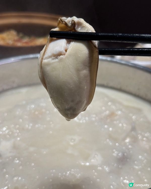 深圳順德公豬肚雞🍲! 秋冬暖胃滋補🤤!