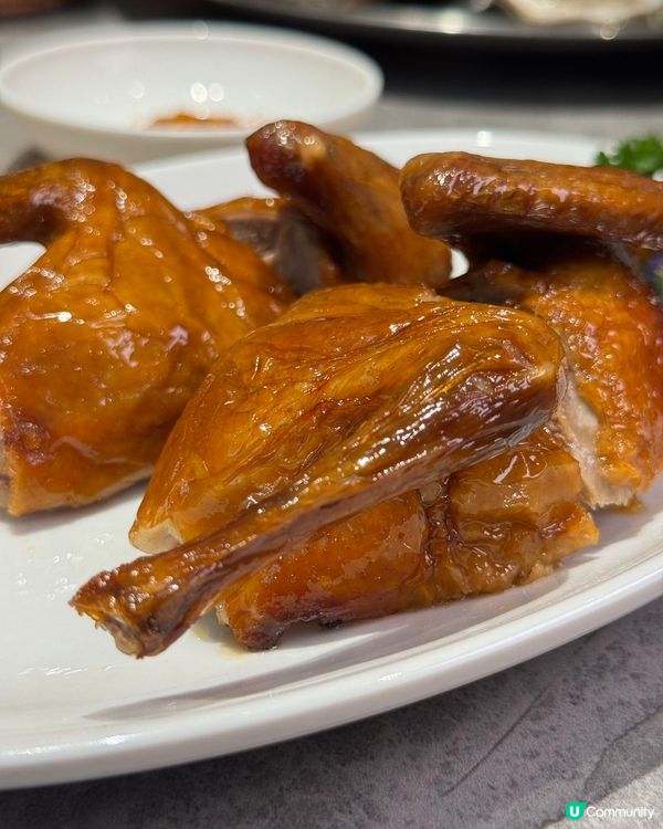 深圳順德公豬肚雞🍲! 秋冬暖胃滋補🤤!