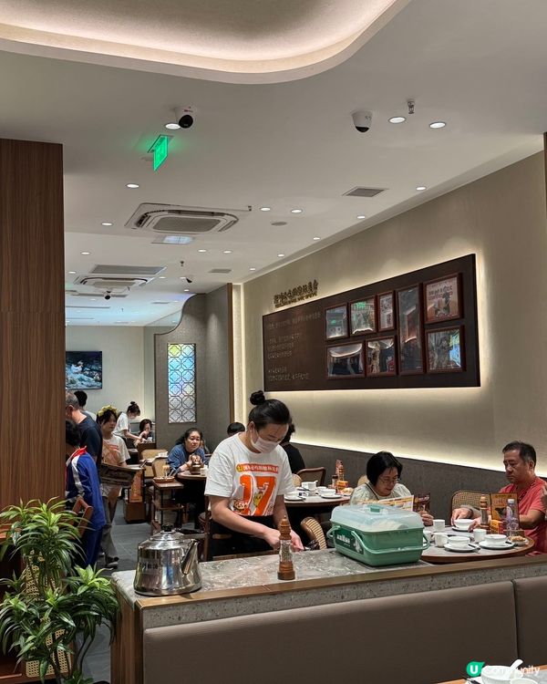 深圳順德公豬肚雞🍲! 秋冬暖胃滋補🤤!