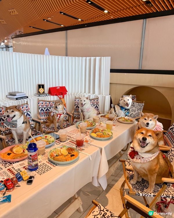 2.0 Cafe重開，約埋朋友仔去試吓先☺️