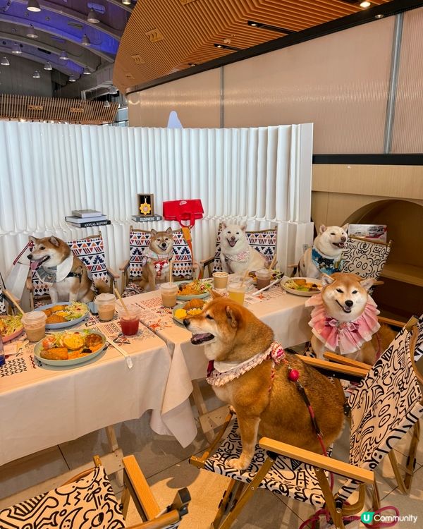 2.0 Cafe重開，約埋朋友仔去試吓先☺️