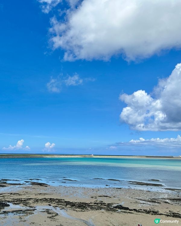 沖繩南部一日遊！瀨長島+糸滿魚市場+Outlet💛