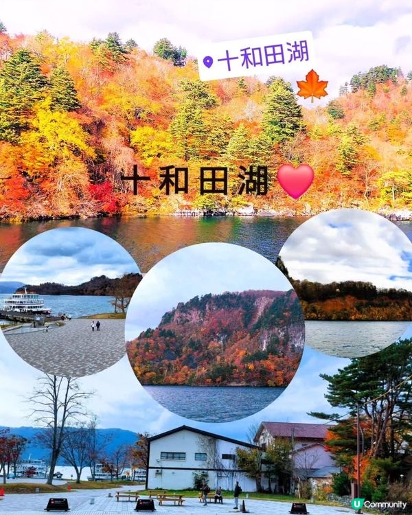 十和田湖紅葉🍁！東北賞楓好去處！🤩
