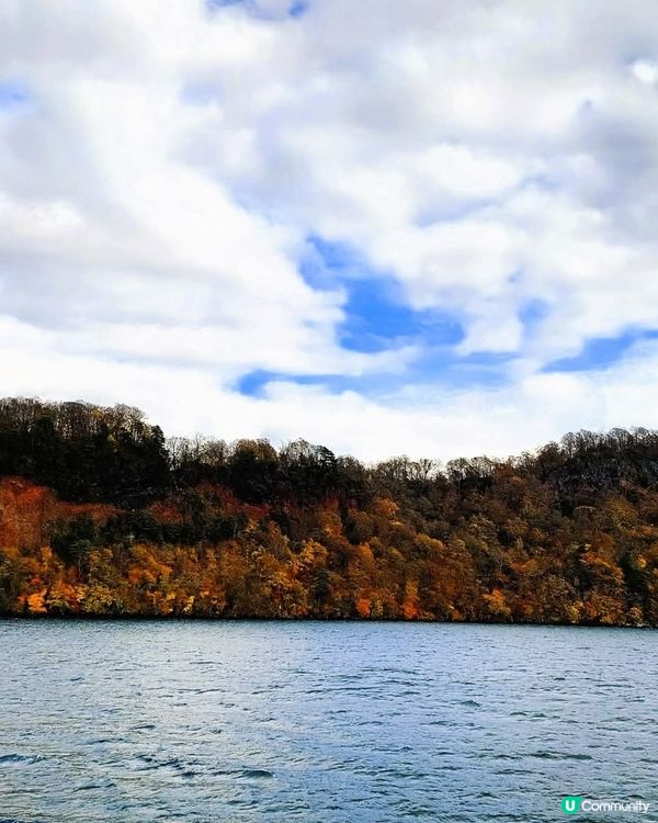 十和田湖紅葉🍁！東北賞楓好去處！🤩
