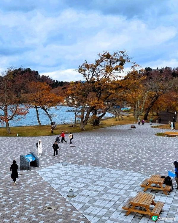 十和田湖紅葉🍁！東北賞楓好去處！🤩