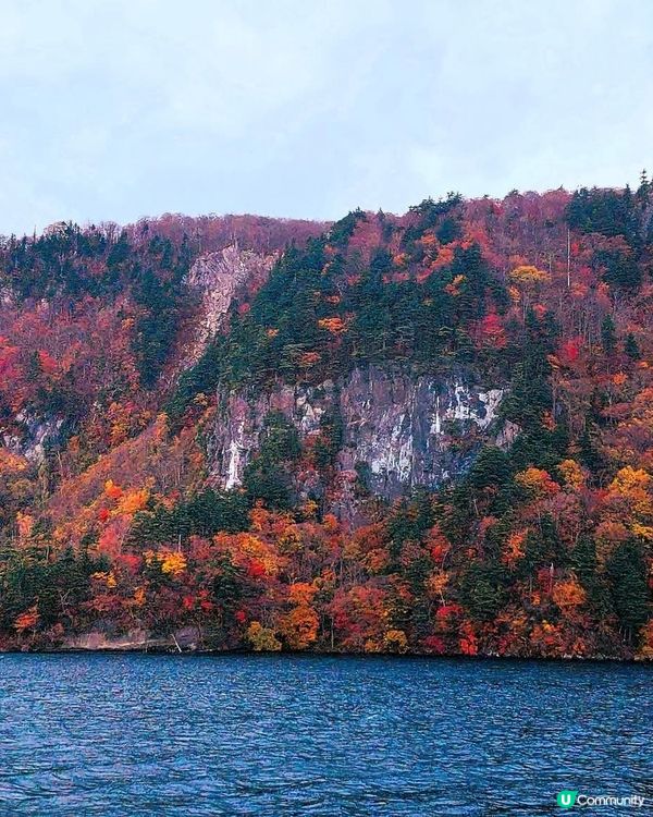 十和田湖紅葉🍁！東北賞楓好去處！🤩