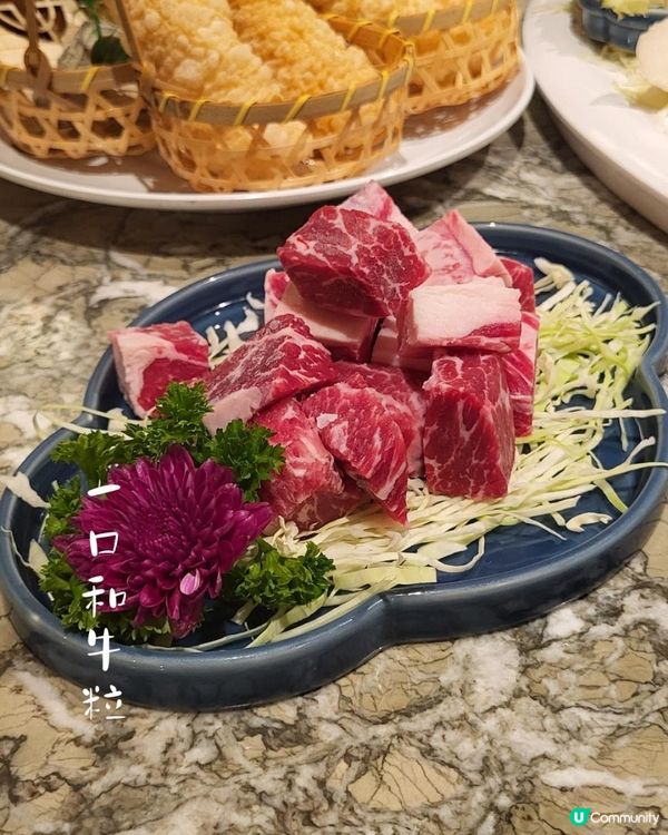 荃灣抵食火鍋體驗！懷舊與現代交融的打卡空間🍲