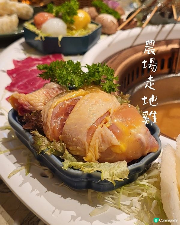 荃灣抵食火鍋體驗！懷舊與現代交融的打卡空間🍲