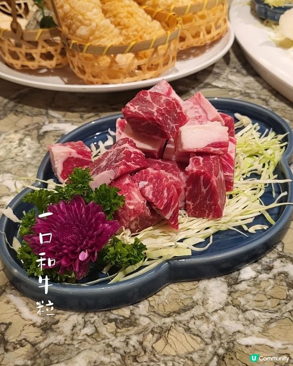 荃灣抵食火鍋體驗！懷舊與現代交融的打卡空間🍲