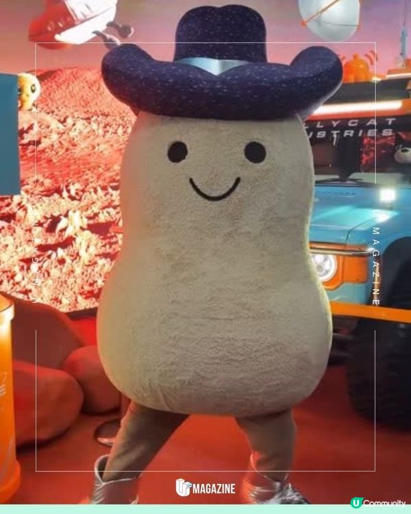 Jellycat「宇宙快閃店」夢幻登陸首爾聖水洞 ✨