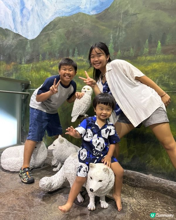 未報名？海洋公園生態跑等你！🏃‍♀️🌊