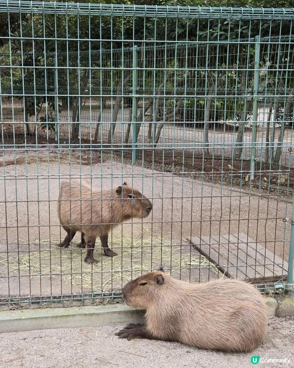 福岡篇：海之中道海濱公園一日遊攻略