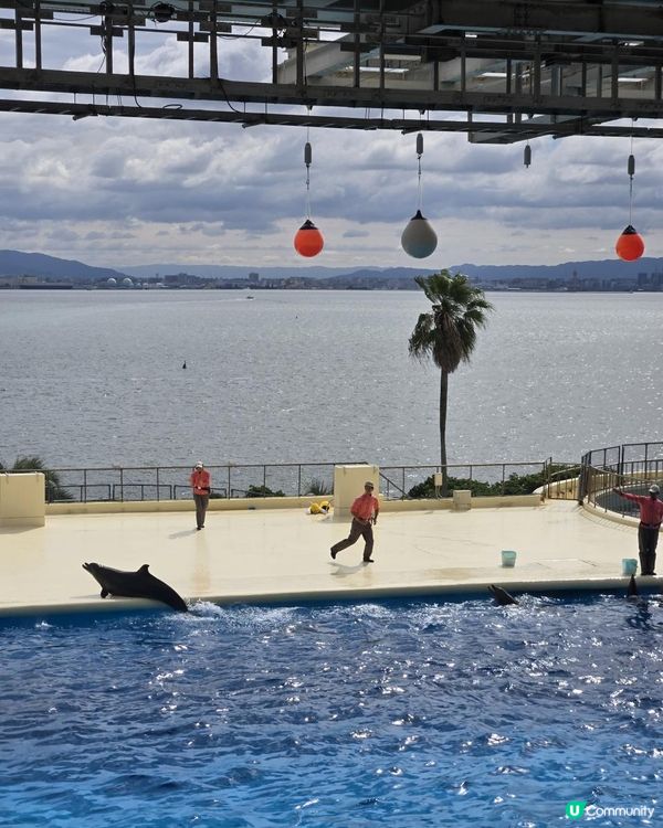 福岡篇：海之中道海濱公園一日遊攻略